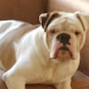 Meet your Posher, Arthur